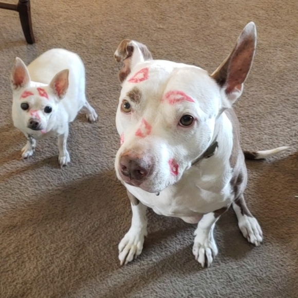 Never Selling! Who Saved Whom?! - Picture 10 of 10